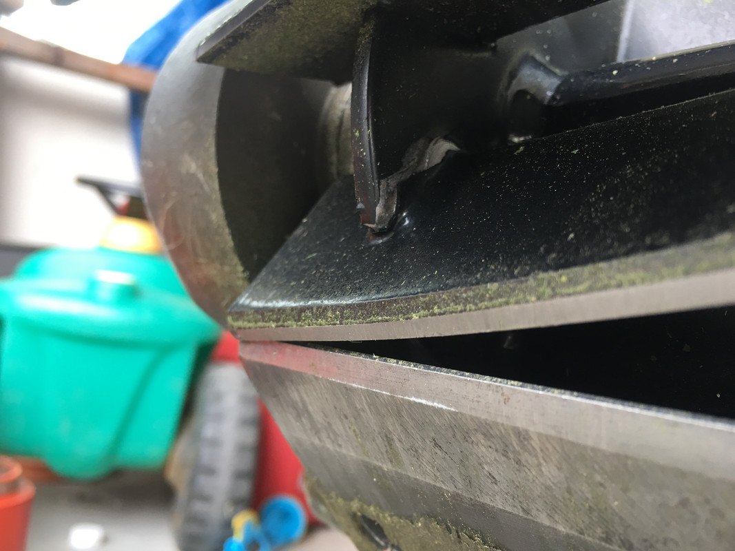 294606A1-33B5-4B4D-81A2-FEEE5039612B