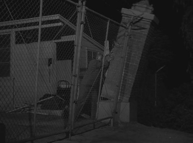 AMONG US REFERENCE (14)