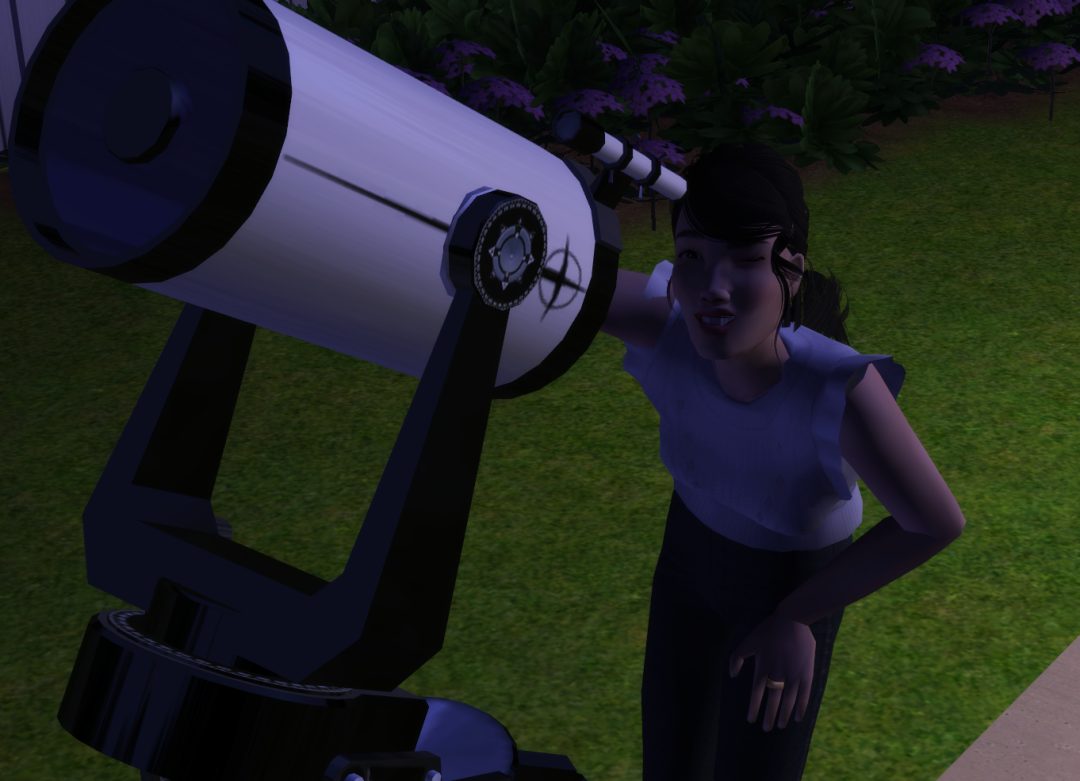 Sims2-EP9-RPC-2023-12-13-22-22-40-66