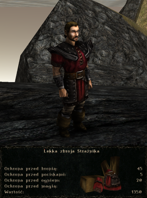 pancerze i ubrania (19)