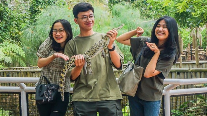Harga Tiket Masuk Predator Fun Park, tempat wisata di Batu, Jawa Timur, untuk liburan bareng keluarga.