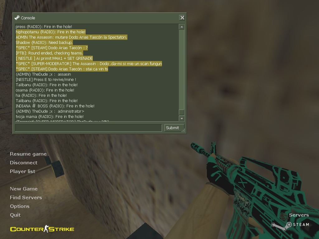 The-Assasin.jpg