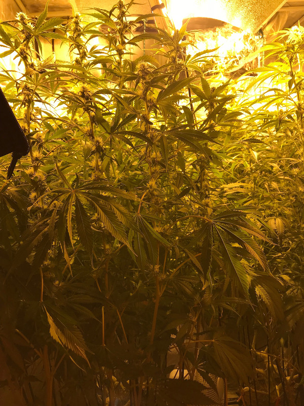 A25A5047-A7A5-49A1-96C3-4B1DF06A2FCA