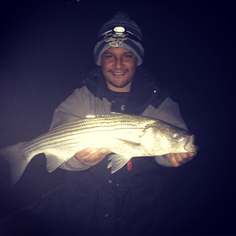Striper 2