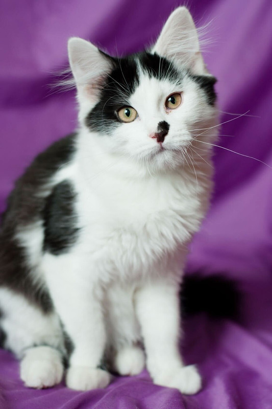 IMG_5065 — копия