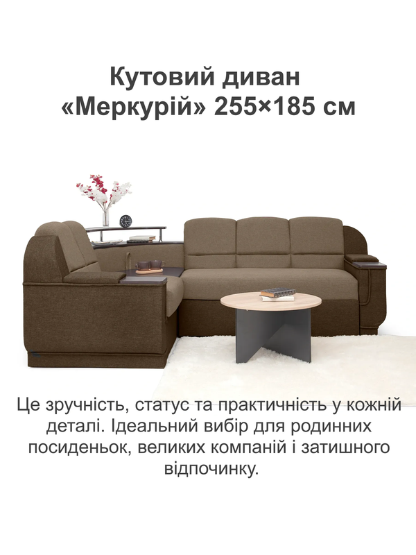 бежевий з коричневим 02
