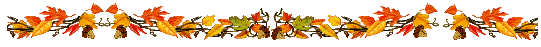 137566262-137460562-15762504