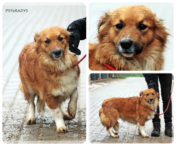 BeFunky-collage (26)