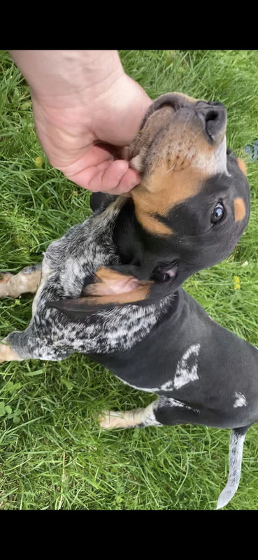 959ECA6D-7C15-4BBA-9831-20DFAF550730