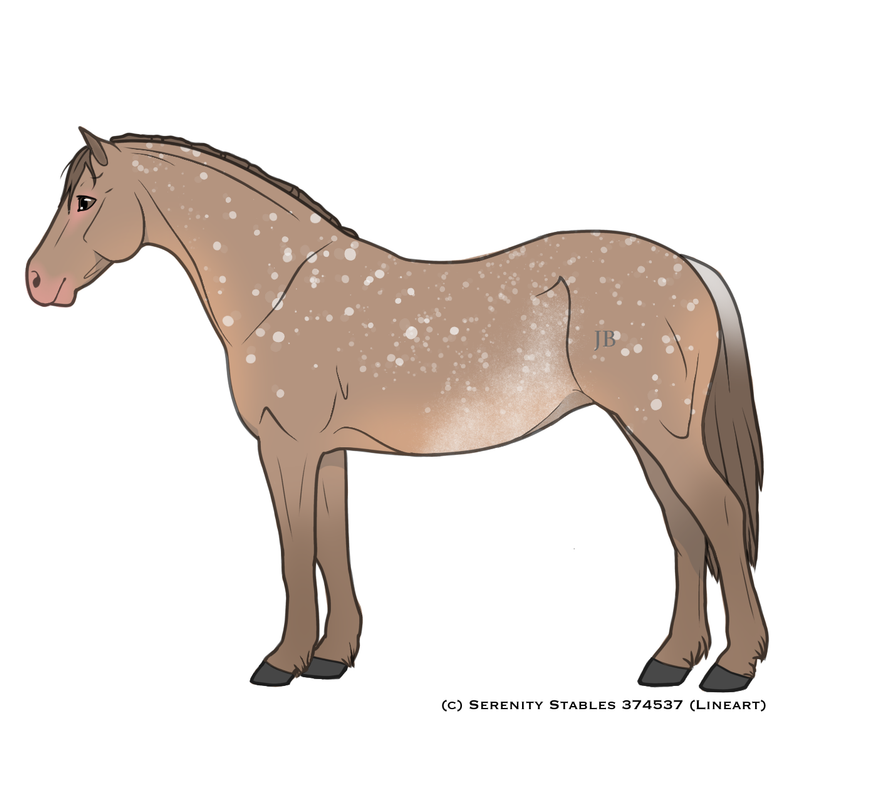 classic-champagne-rabicano-snowflake-appaloosa.png