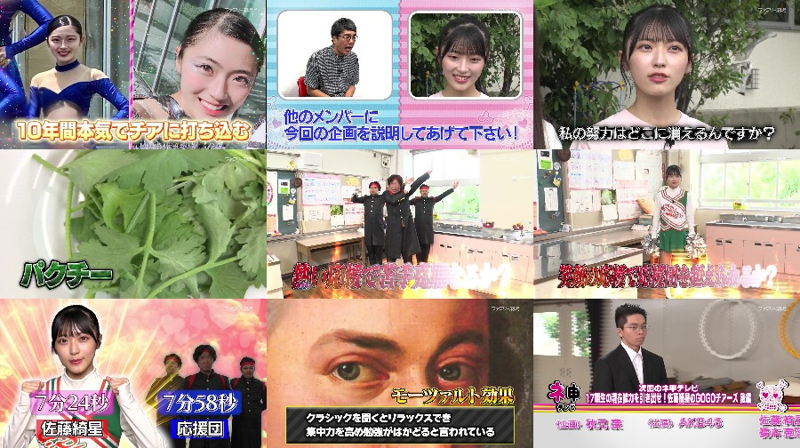 Nemousu TV Season 41