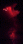 FlashR.gif