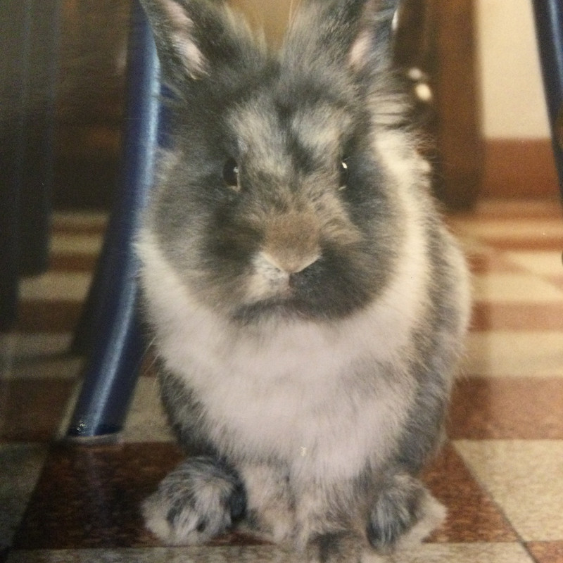 D96882F6-E5D6-4991-AAEB-ECDEE0DEEBC0