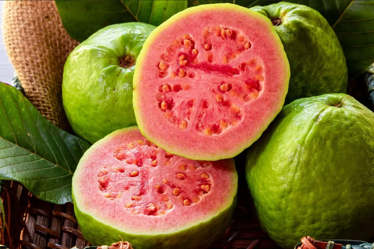 Consume la Guayaba: Fruta Antiedad con Más Vitamina C que la Naranja y Estimula la Producción de Colágeno