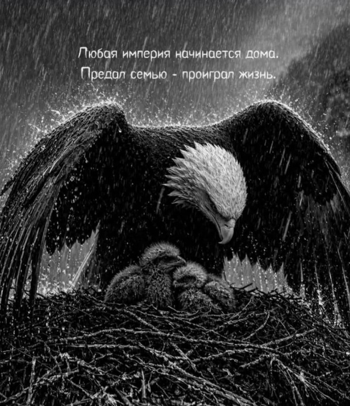 [Изображение: 7d874d50d85266dac12eb66095b1ff89.jpg]