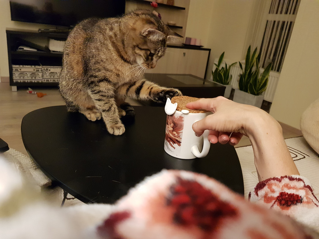 20190507-222302.jpg
