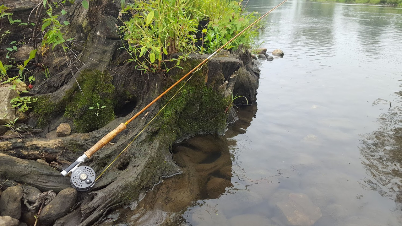 Phillipson Pacemaker 8' 5wt