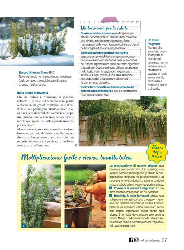 Pol Ver Dic 2024-Gen 2025 (6)