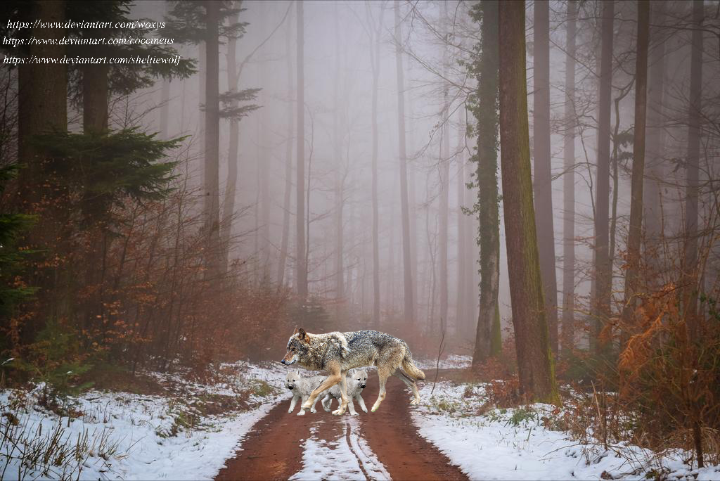 709D11E4-2BA3-4A38-AD90-DB940420E28A