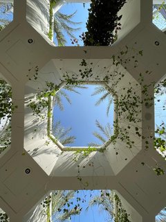 Expo 2020 de Dubai, un viaje de diez - Blogs de Emiratos A. U. - EXPO 2020 DE DUBAI:HAZAÑAS DE INGENIERÍA,50 ANIVERSARIO DE LOS EAU Y FIN PARTE I (9)