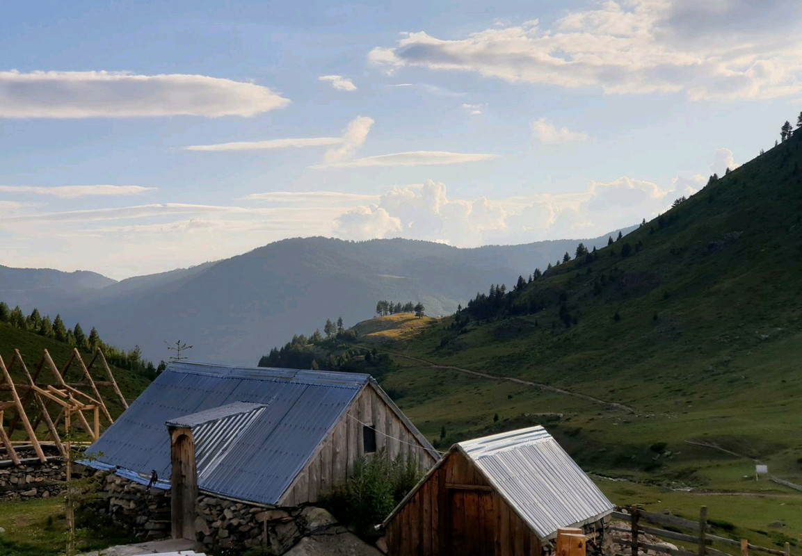 image_c4923404-987a-4ea5-b210-591d017fc80520200807_113657