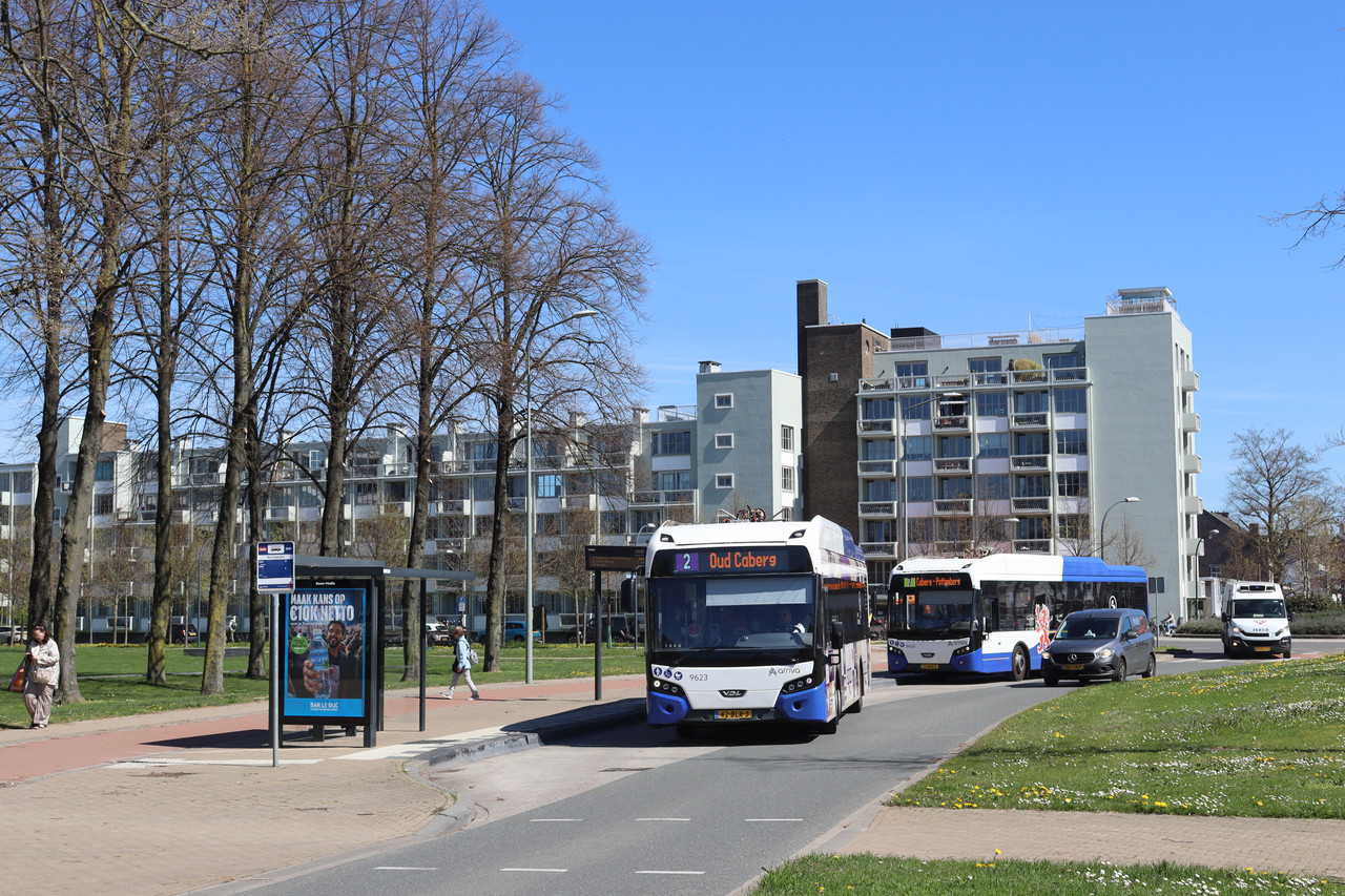 ZLBG (7)