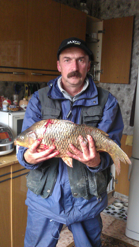 Карп 2740гр Добрянка 18.09.2013