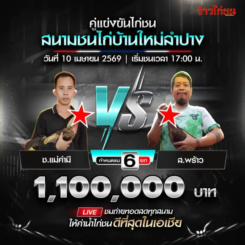 โปรแกรมไก่ชน สนามชนไก่บ้านใหม่ลำปาง วันที่ 10 เมษายน 2569 ช.แม่คำมี vs ส.พร้าว