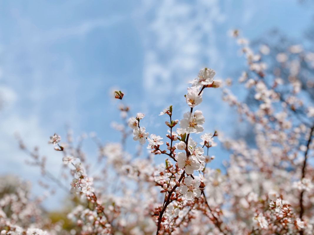 휴가를 맞이하여 나들이 다녀왔습니다 | 인스티즈