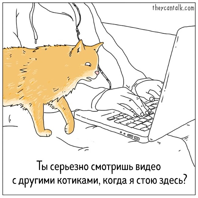 19 комиксов от художника, который умеет читать мысли животных