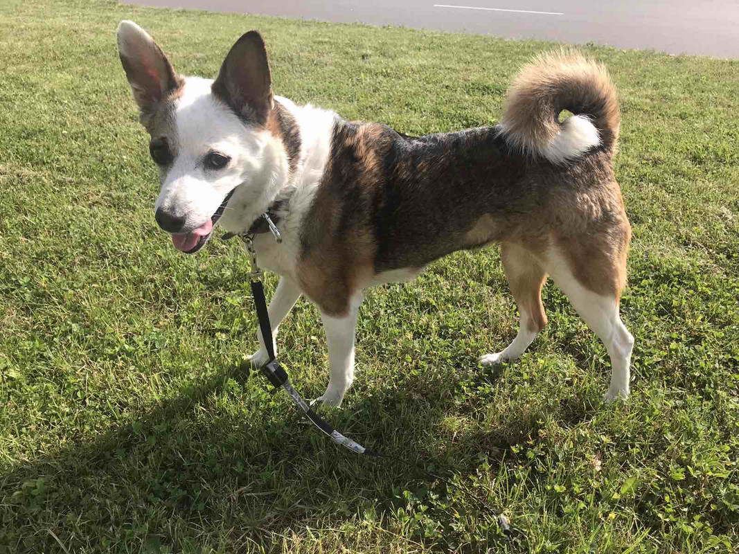 AD9821C9-0DC3-4A12-8549-7D3A5774DC43