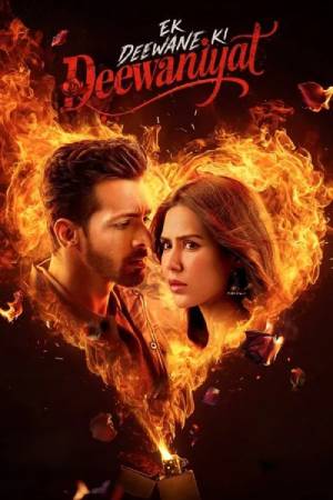 Ek Deewane Ki Deewaniyat (2025) Hindi Movie WEB-DL ESubs – 480p [480MB] || 720p [1.1GB] || 1080p [2.6GB]