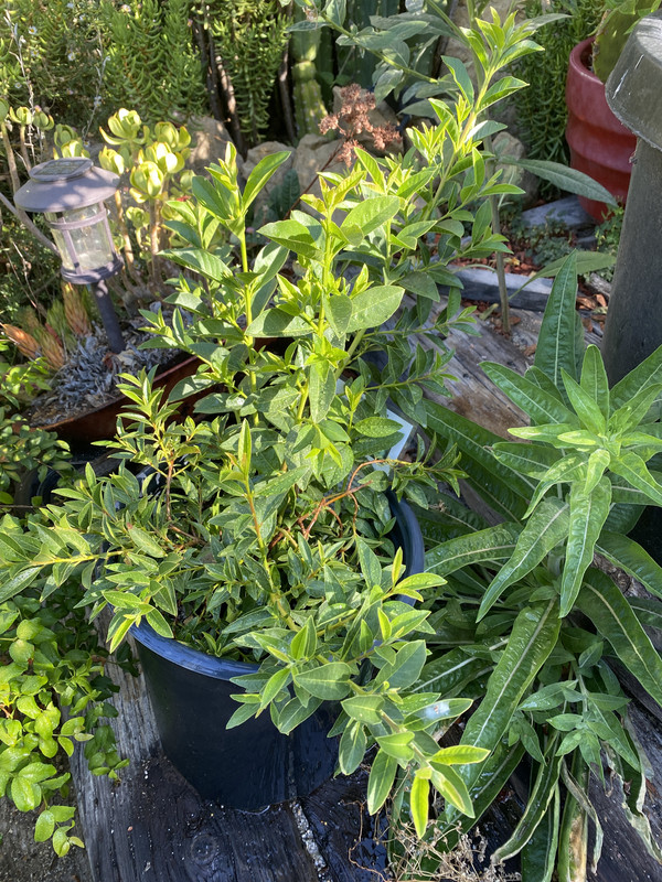 2938AE84-477C-41F1-87C3-3ED63EBAE11E