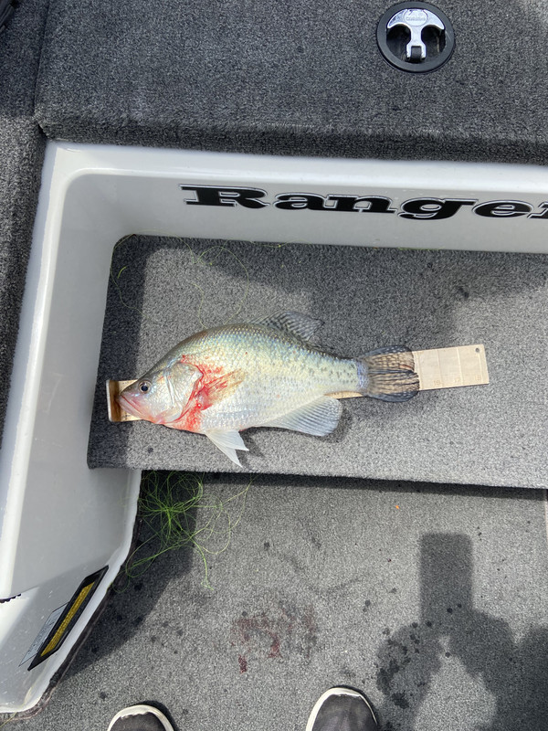 C7C964ED-347C-47D6-A230-5354A021B47E