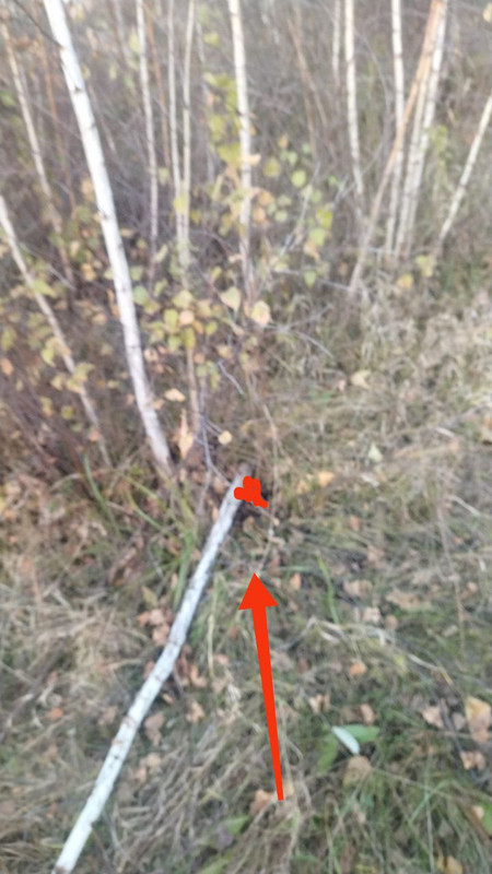 photo_7_2025-10-05_11-43-50