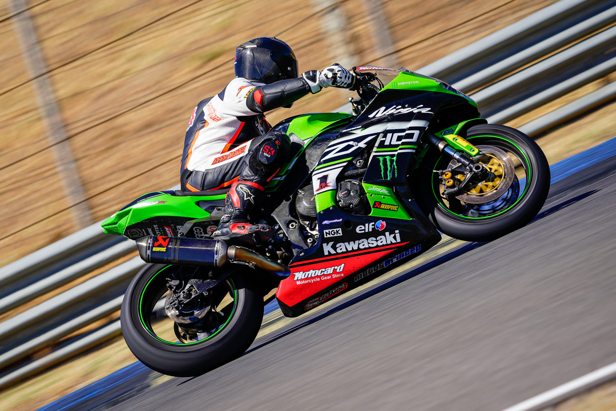 RETRATOS TAMAYO  (10)