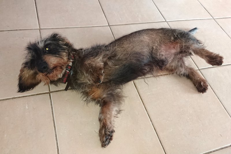 [Image: DSC-2925.jpg]