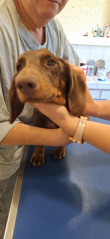 [Image: 20251014-173220.jpg]