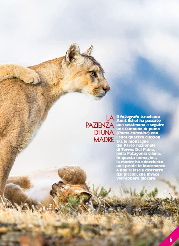 Foc Wil - Feb 2024 (2)