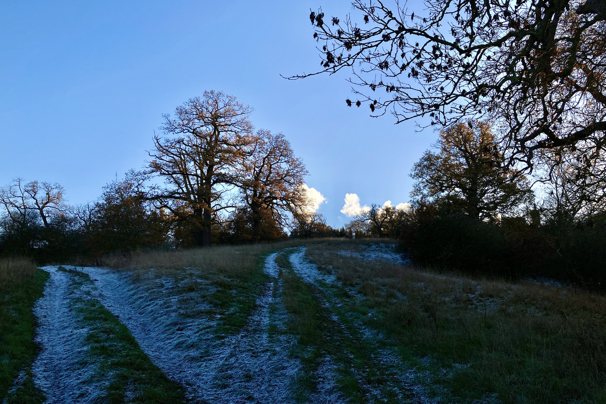 C0B34295-5AFD-4777-86F1-BEF0723DD957