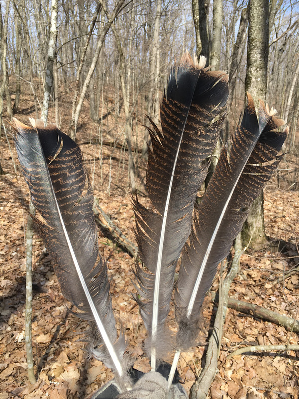 5B553E69-D98D-4BC4-BA4D-9BD4DD7E7CCB