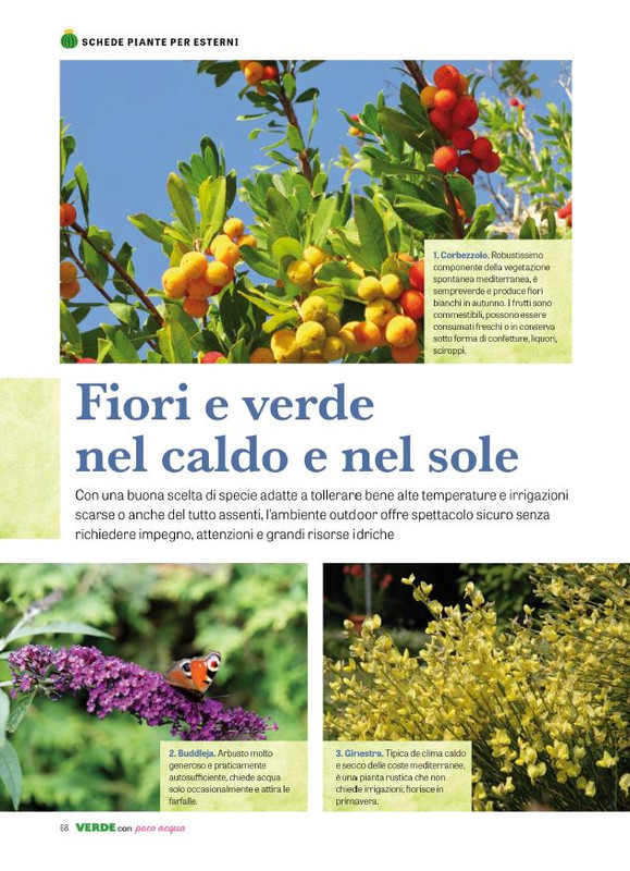 Pol Ver Spec Giu-Lug 2024 (9)