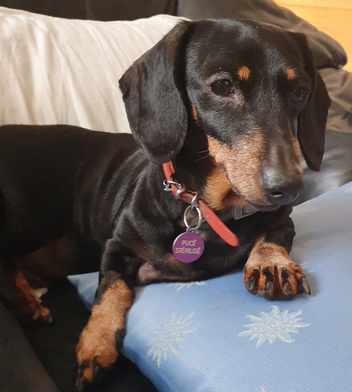 [Image: 20220314-143135.jpg]