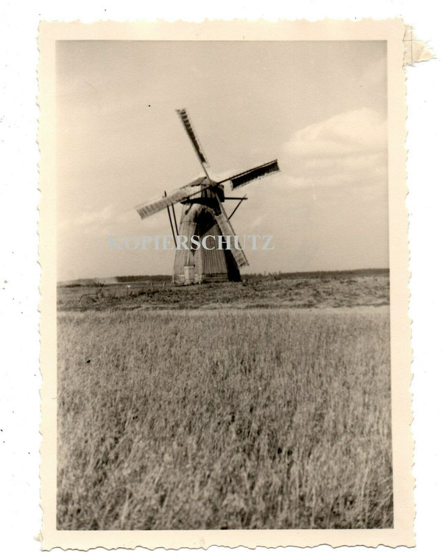 Russland 1941 Windmühle Wind mill Mühle Mill Holzwindmühle Windrad