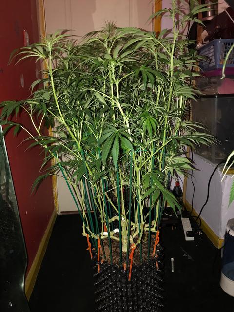 DA0E8159-0B02-409B-9E8E-842AF3D3A8D8