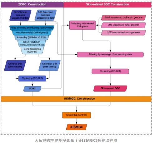 Microbiome:国内科研团队揭示中国汉族人群皮肤微生物组特征-2.png