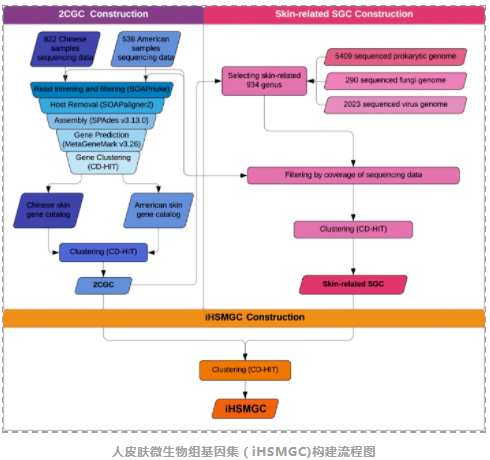 Microbiome：国内科研团队揭示中国汉族人群皮肤微生物组特征-2.png