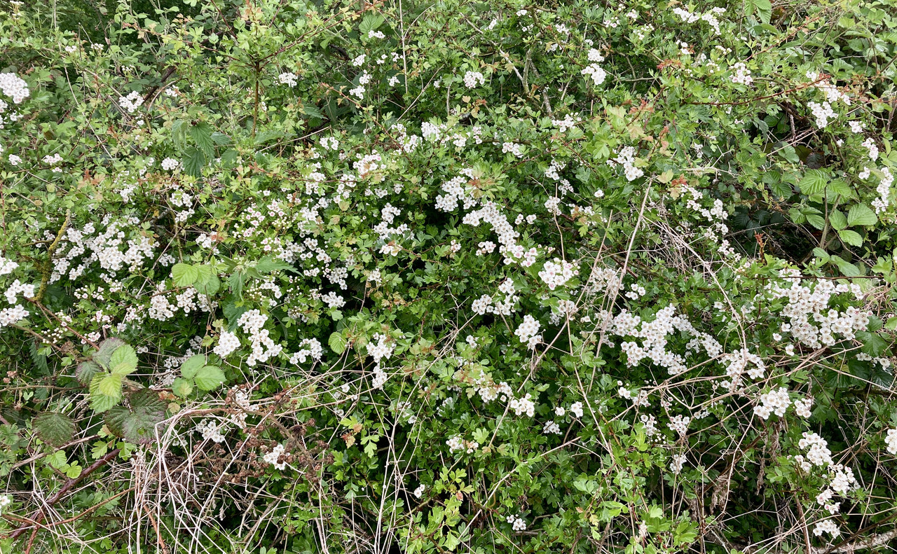 5BC3BBD6-070F-4D82-81AF-3F6B0BFB9B8F