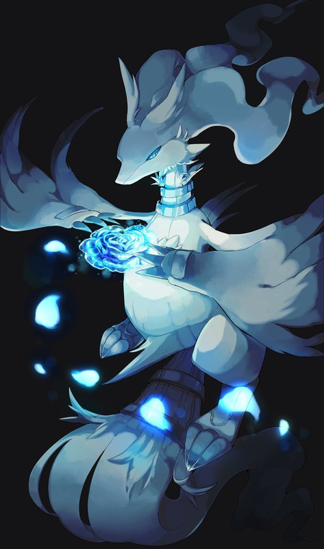 reshiram-pokemon-drawn-by-hinako15-sampl