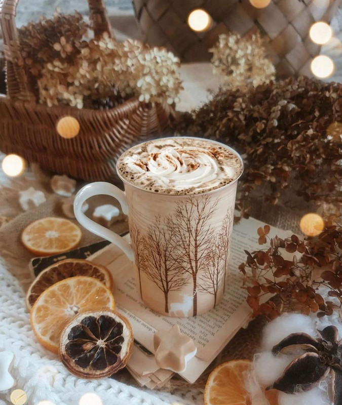 Screenshot_20231204_002520_Instagram